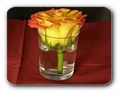 Rosenbl�te im Glas