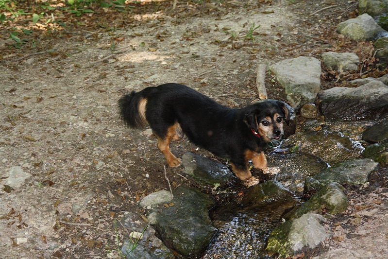 ... wenn es hei� ist...