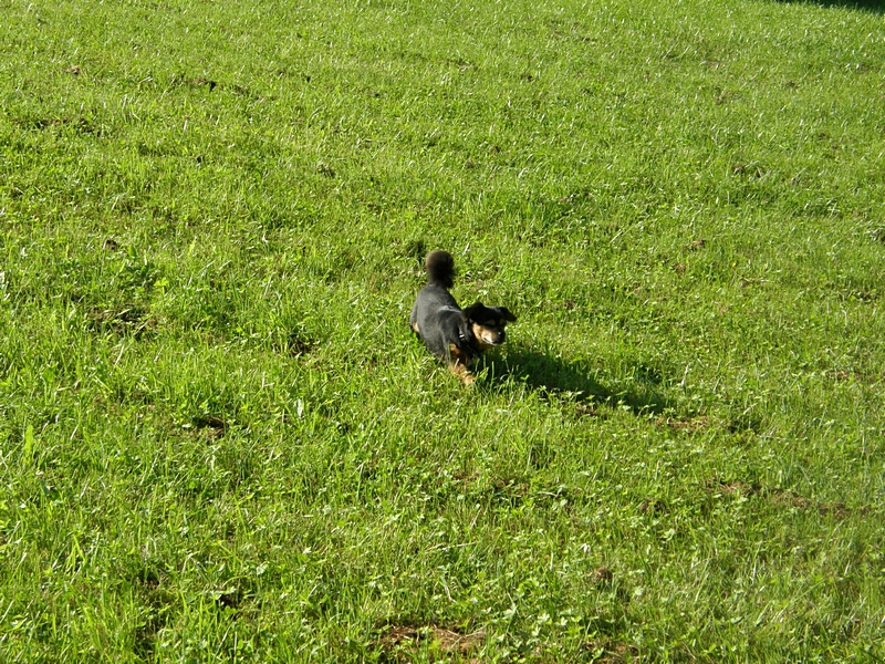 Endlich Fr�hling!