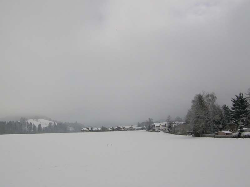 Winterlandschaft (Allg�u)