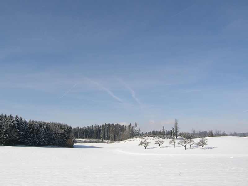 Winter im Allg�u