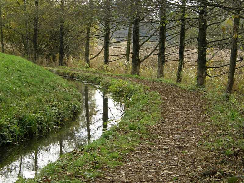 Kanal am R�sslerweiher