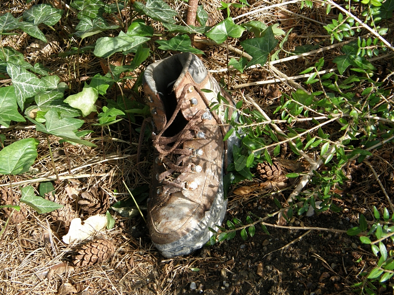 Schuh (!) im Gr�nen