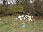 Wilde M�llablage