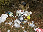 M�ll im Park entsorgt