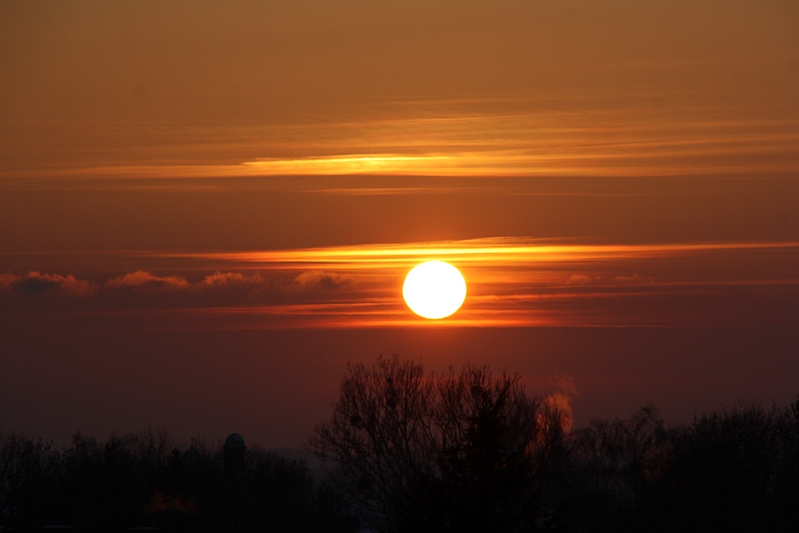 Sonne �ber Baumgruppe