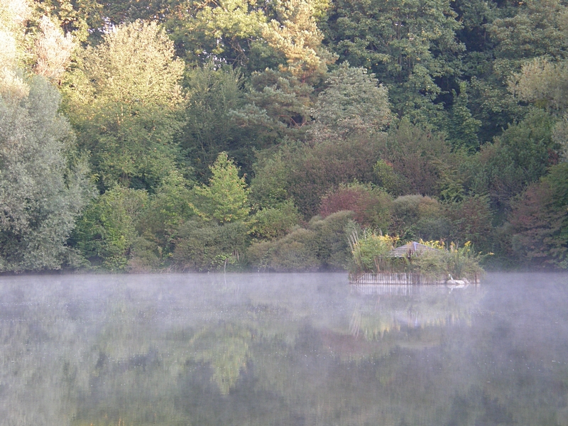 W�rme steigt vom Wasser auf
