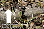Transport r�ckw�rts, senkrecht nach oben